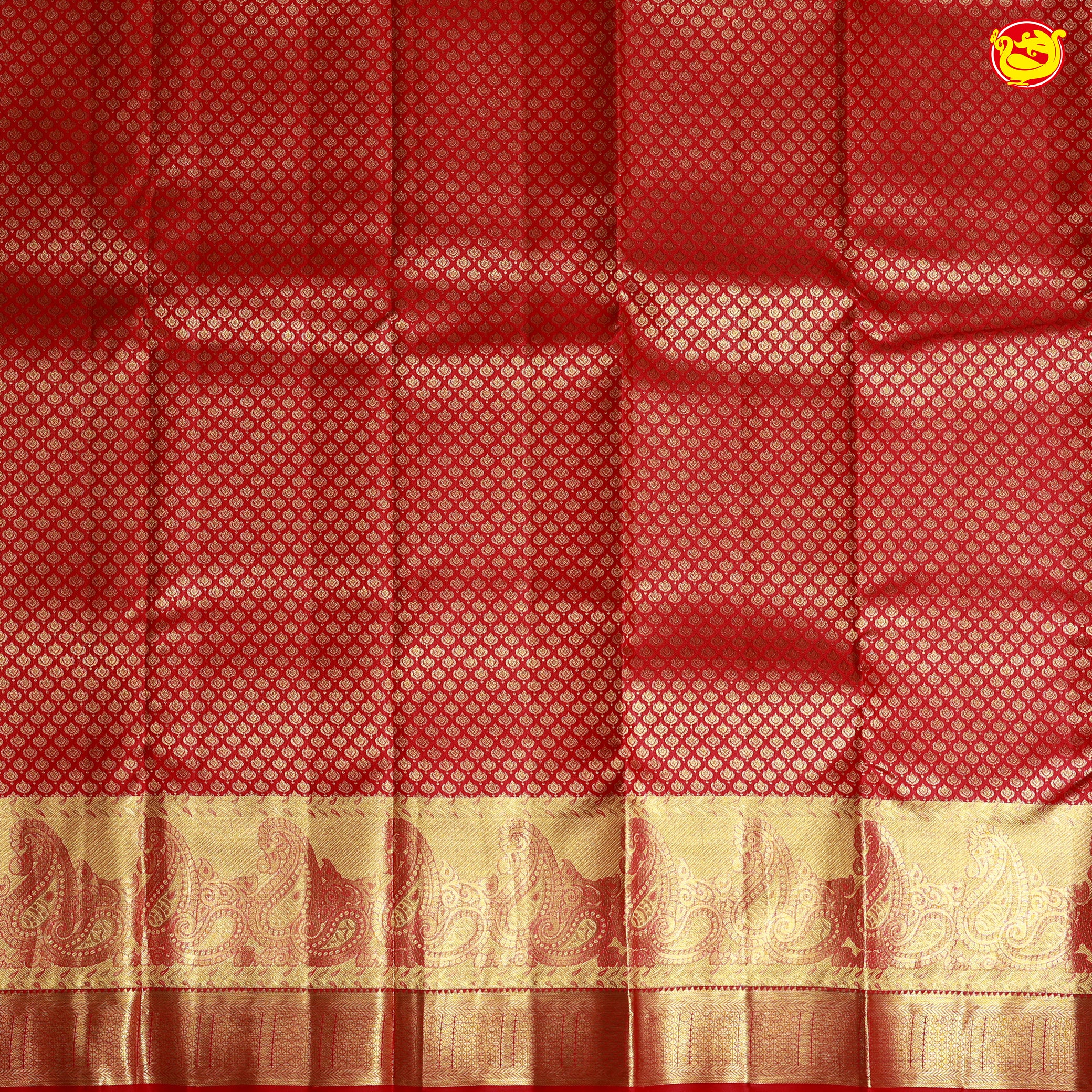 Dark Red with Traditional Mango Motifs in Gold Zari Border Wedding Silk Saree
