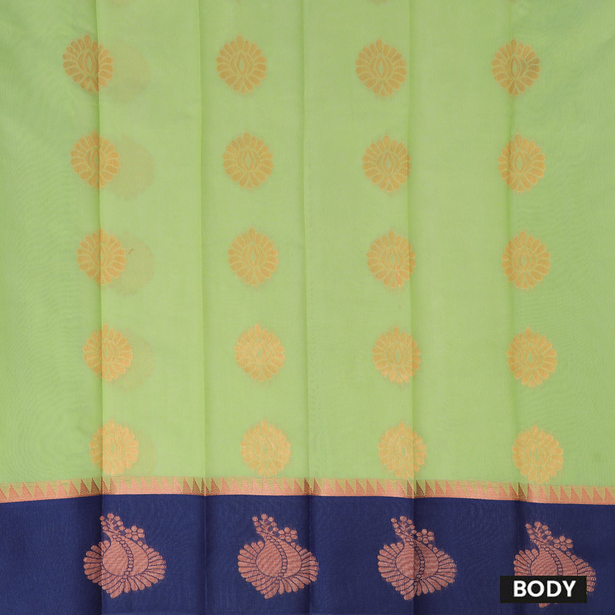 Green With Blue Border Silk Cotton Saree