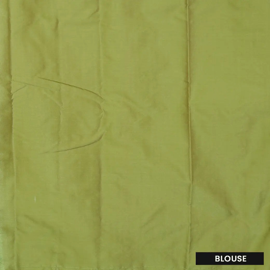 Light Green Arani Silk Saree