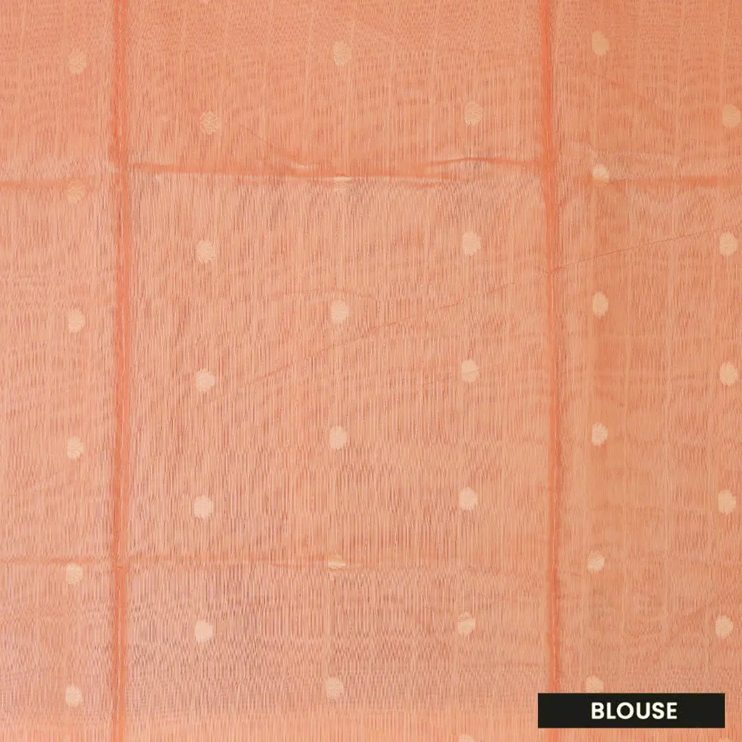 LIGHT PINKSemi Burberry Silk Saree