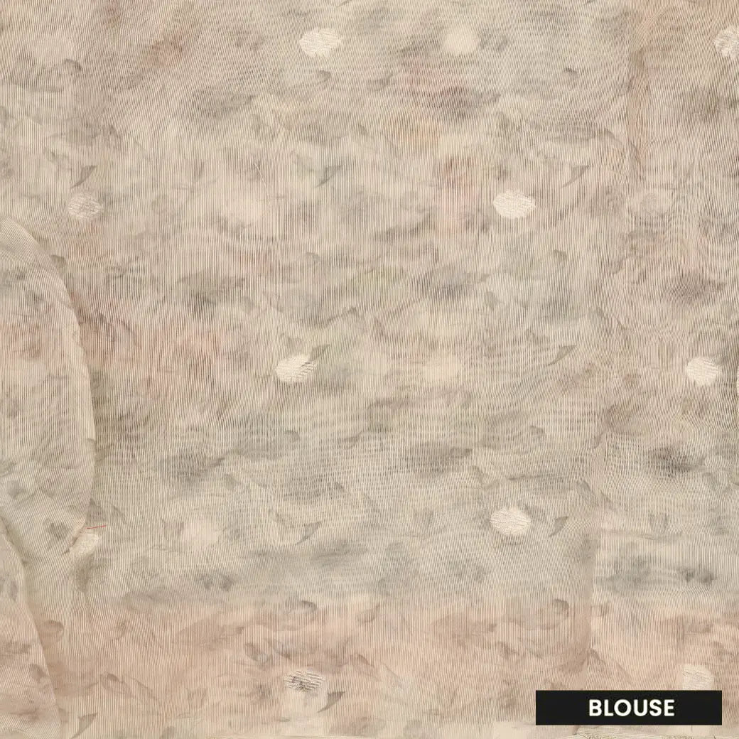 Pastel Green with Light Beige Semi Burberry Silk Saree