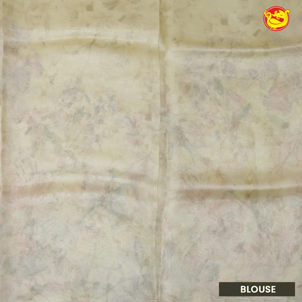 Beige With Organza Silk Saree