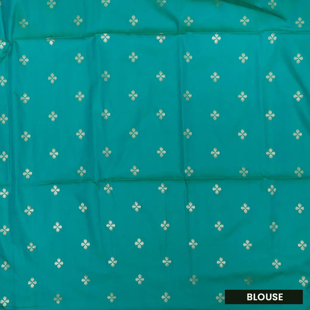 Pale Green with Blue  Soft Silk Saree