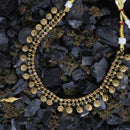 Antique Coin Necklace with earrings - Thenianantham