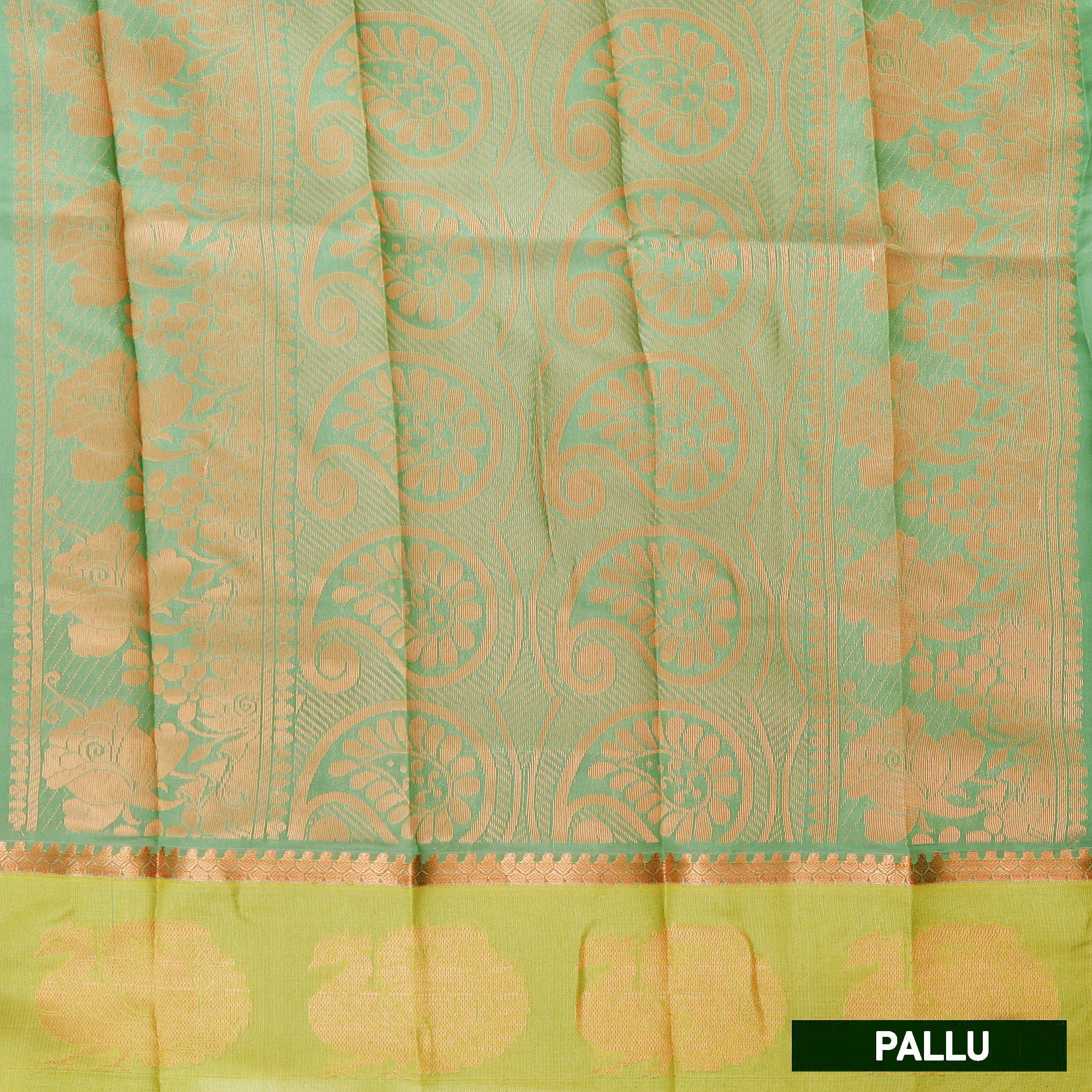 Pale Green  With  Lime Green Border Silk Cotton Saree