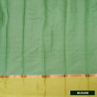 Pale Green  With  Lime Green Border Silk Cotton Saree