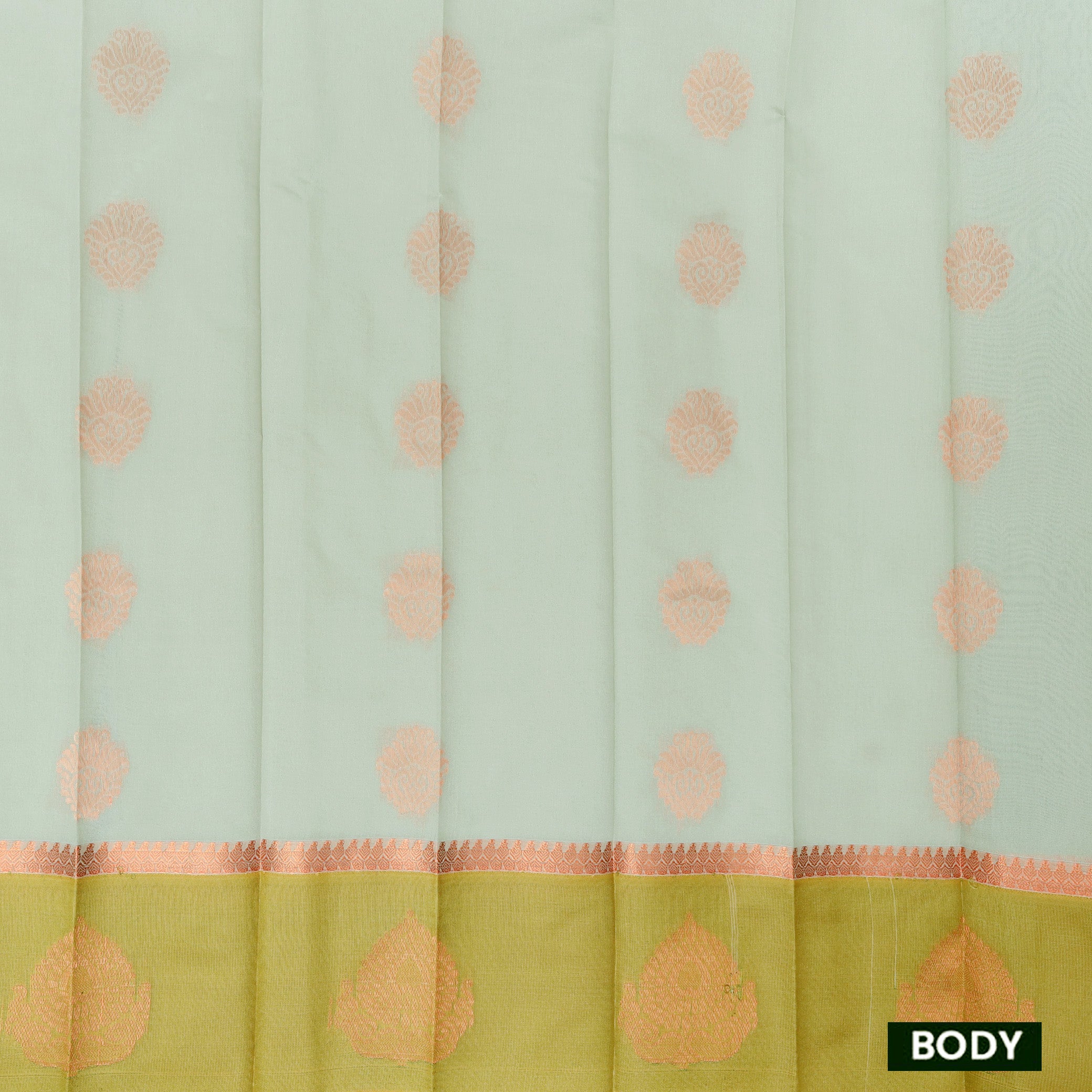 Pale Green  With  Lime Green Border Silk Cotton Saree