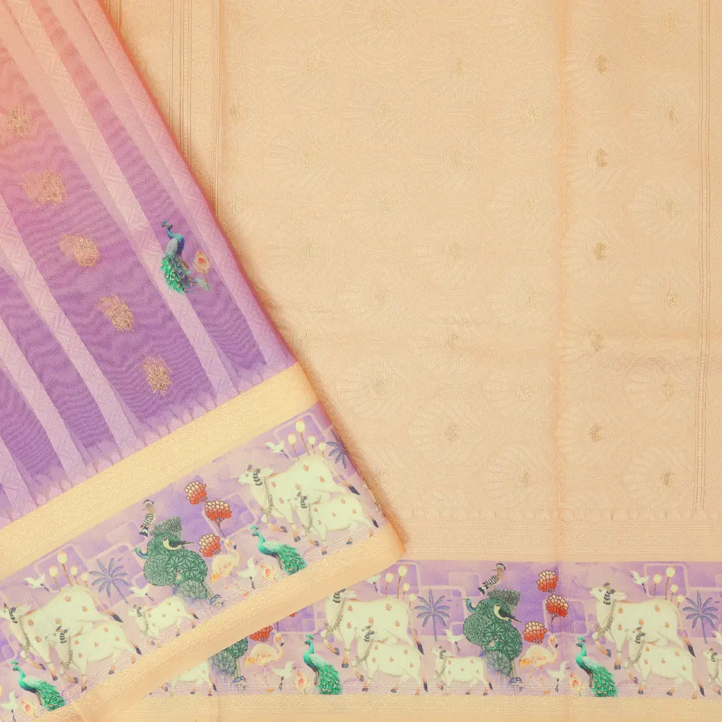 PURPLE Semi Burberry Silk Saree