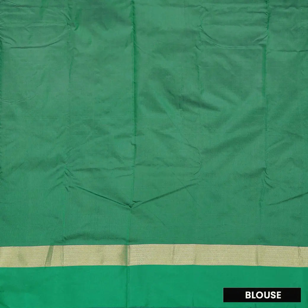 Navy Blue With  Green Border Arani Silk Saree