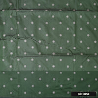 Pale Green with Dark Green Soft Silk Saree