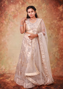 Cream  Color Embellished Royal Semi Bridal Lehenga