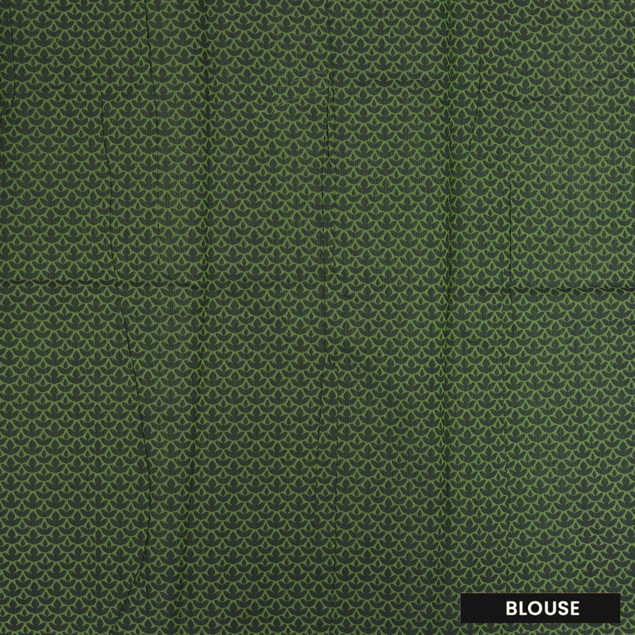 Parrot Green With Black Zari  Silk Cotton Saree