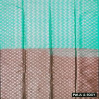 Turquoise green With Brown Soft Silk