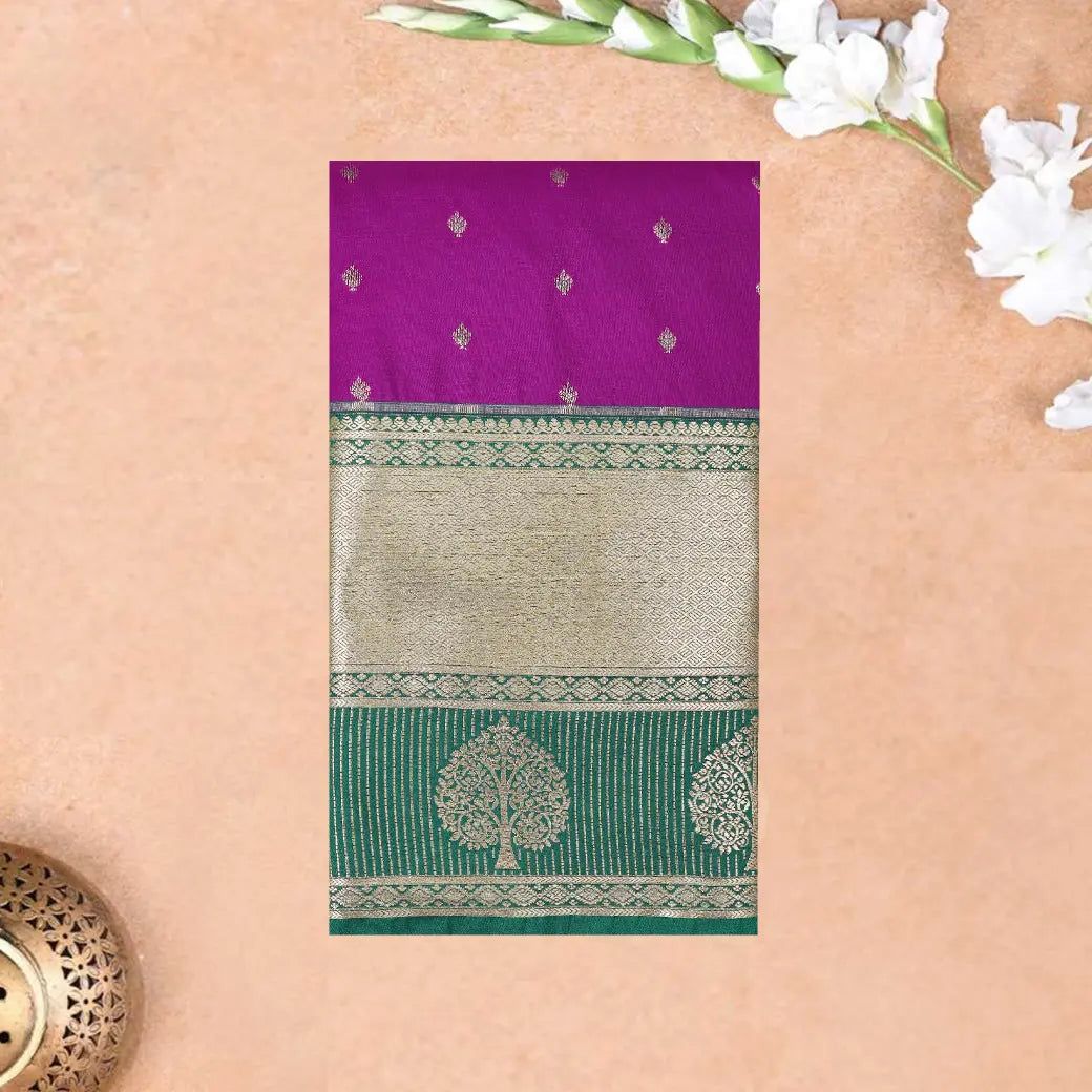 PURPLE with Green pure soft silk saree