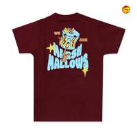 Maroon Colour Cotton Boys T-Shirt Summer Collection