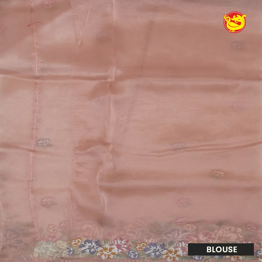 Peach with Embroidery work Buttas and Floral Design Tissue Saree