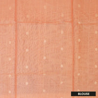 LIGHT PINKSemi Burberry Silk Saree