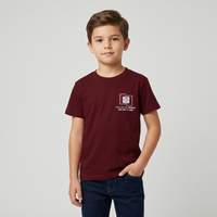 Maroon Colour Cotton Boys T-Shirt Summer Collection
