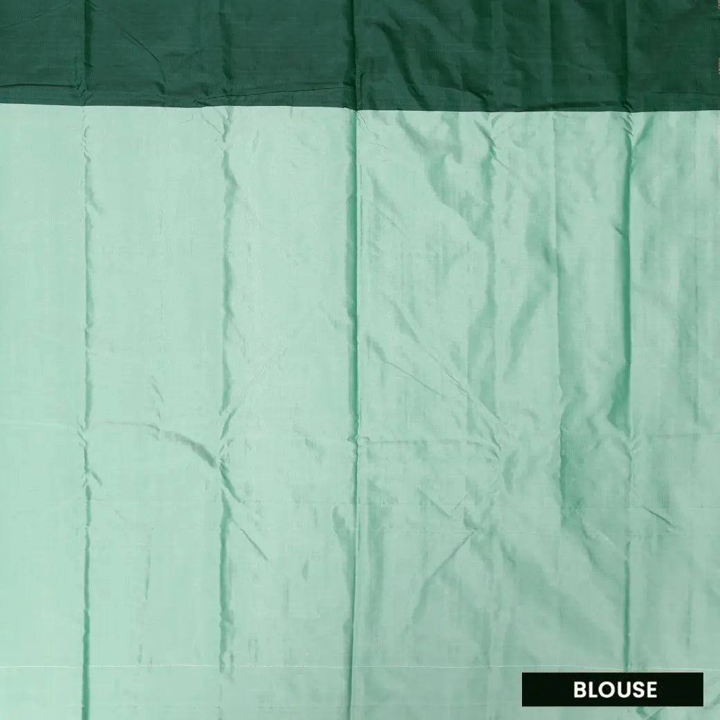 Mint Green With Dark Green Arani Silk Saree