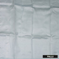 Green with Grey Litchi Silk Saree