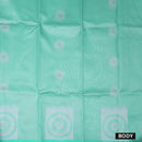 Green with Grey Litchi Silk Saree