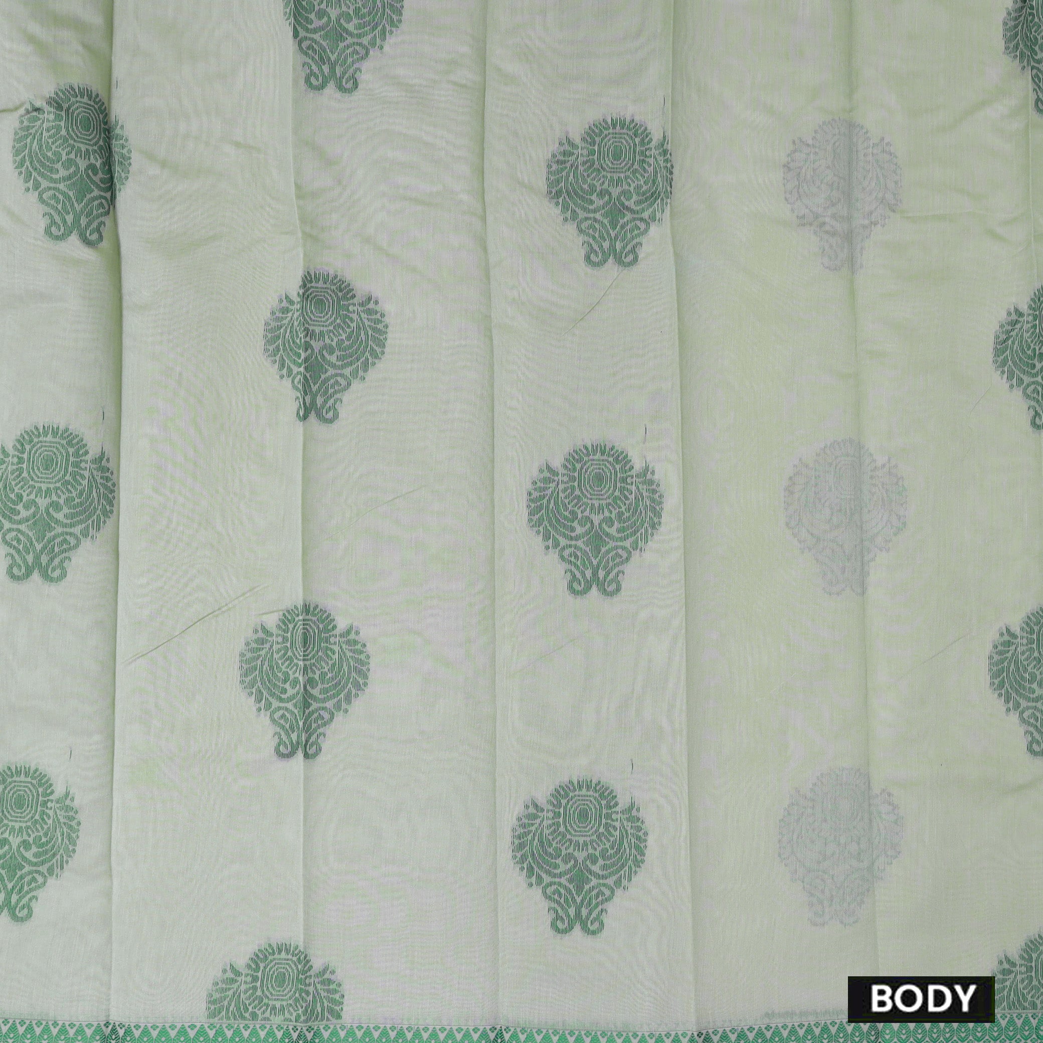 Pista Green With  Green Silk Cotton Saree Without Border