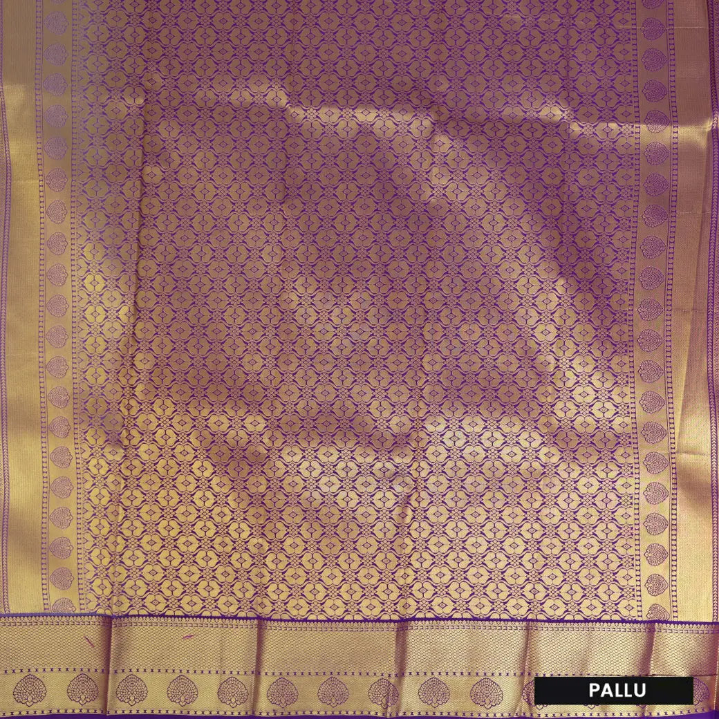 Sky Blue With Purple Copper Zari Border Korvai Silk Saree