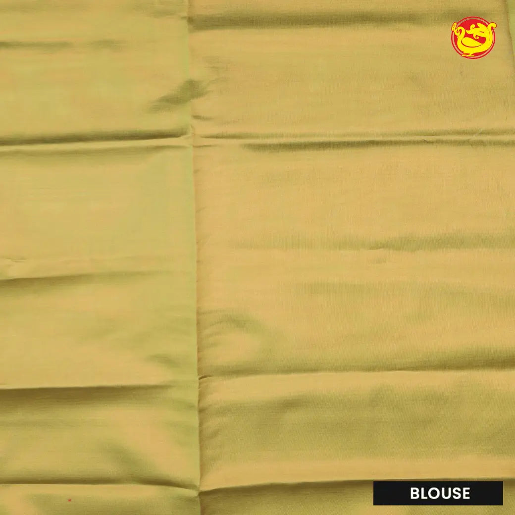 Light Green Tissue Semi Silk Saree