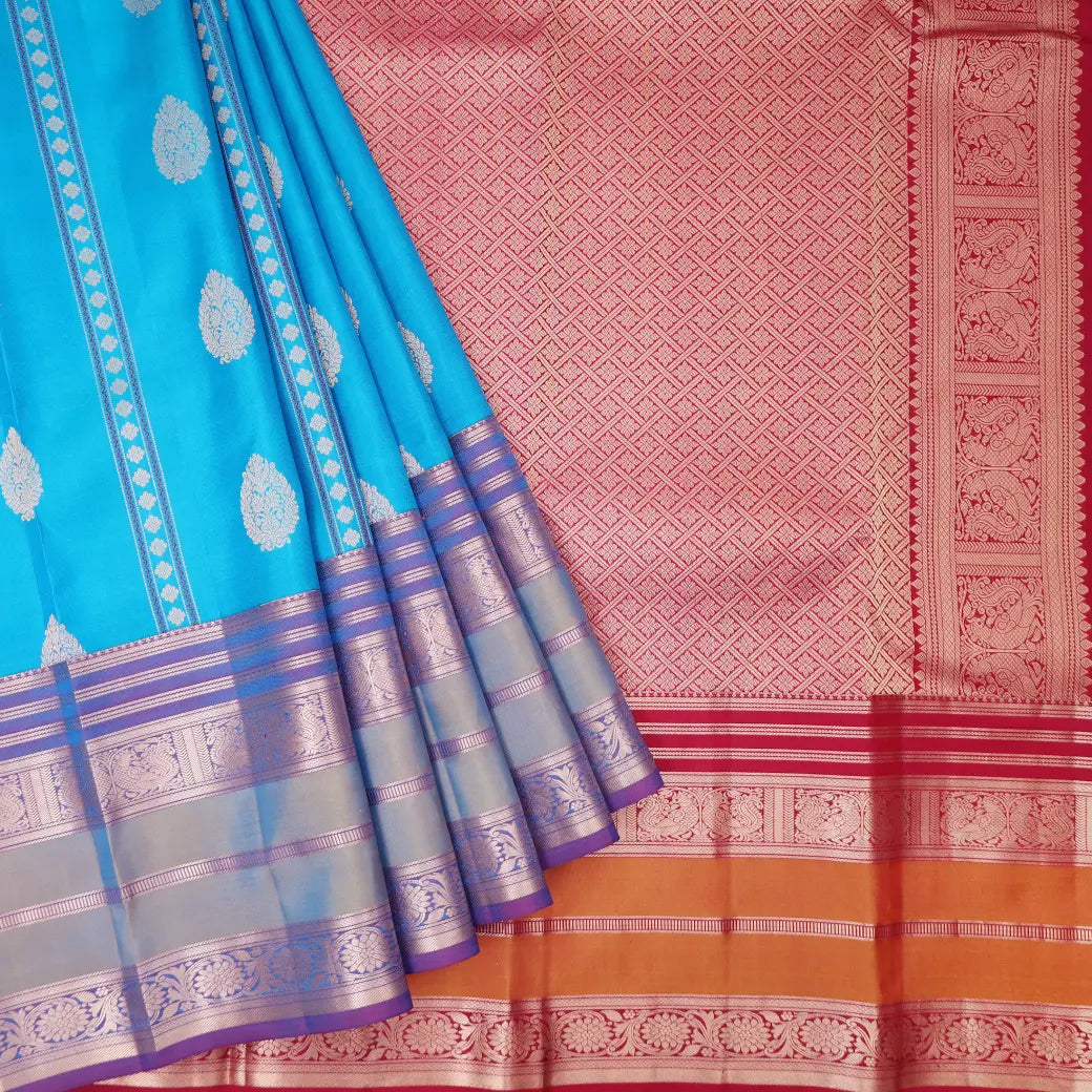 Sky  Blue with Purple and Red hamsam silk saree