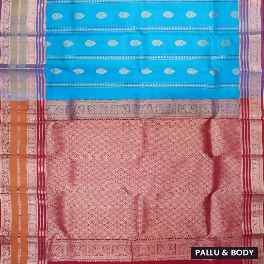 Sky  Blue with Purple and Red hamsam silk saree