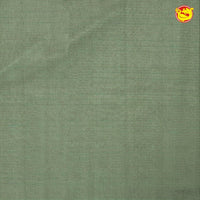 Light Olive Green Pure Organza Silk With Hand Embroidered Work Saree - Thenianantham