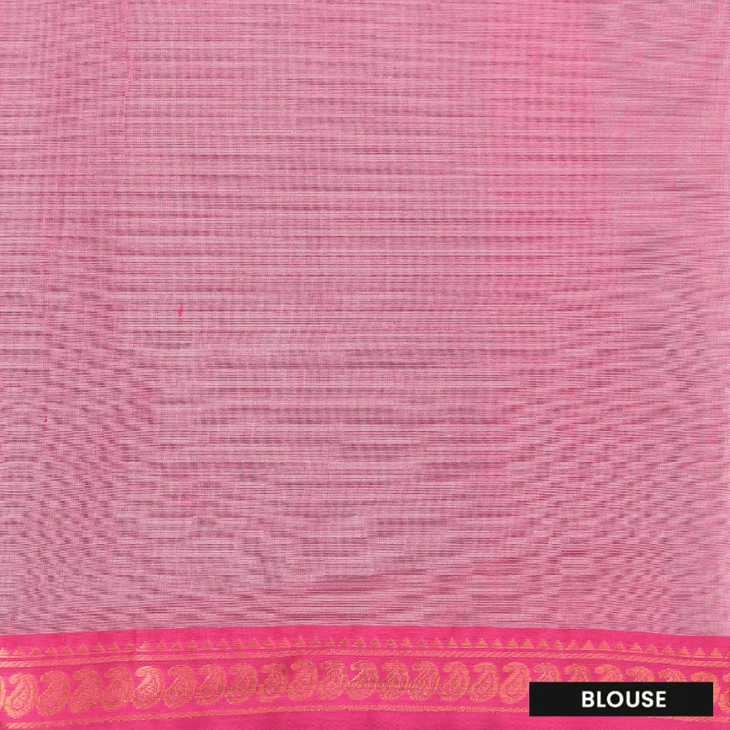Light Blue with Pink Traditional Buttas Venkatagiri Pure Cotton Saree