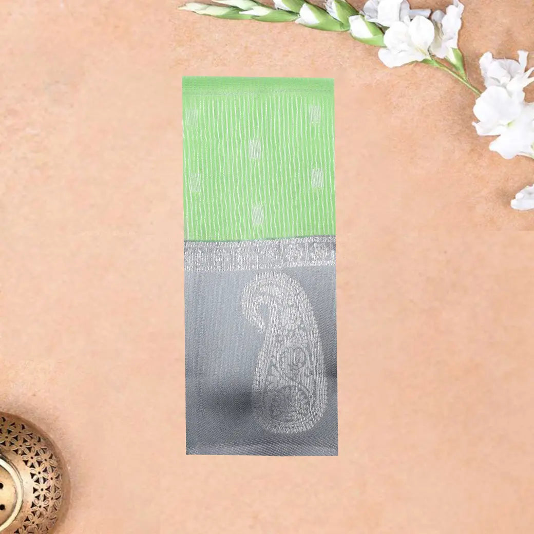 Light Pastel Green with Gray Kubera Tissue Silk Saree